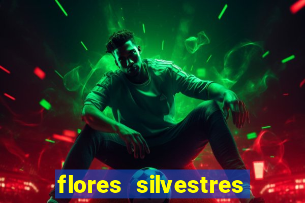 flores silvestres desbravadores desbravadores 25